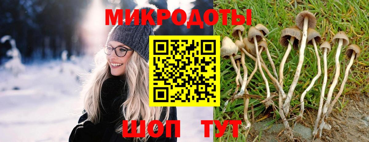 Галлюциногенные грибы мухоморы  Галлюциногенные грибы MAGIC MUSHROOMS  Магнитогорск  Вход с VPN 