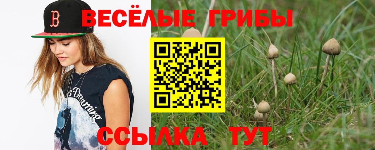 Галлюциногенные грибы Psilocybine cubensis Магнитогорск